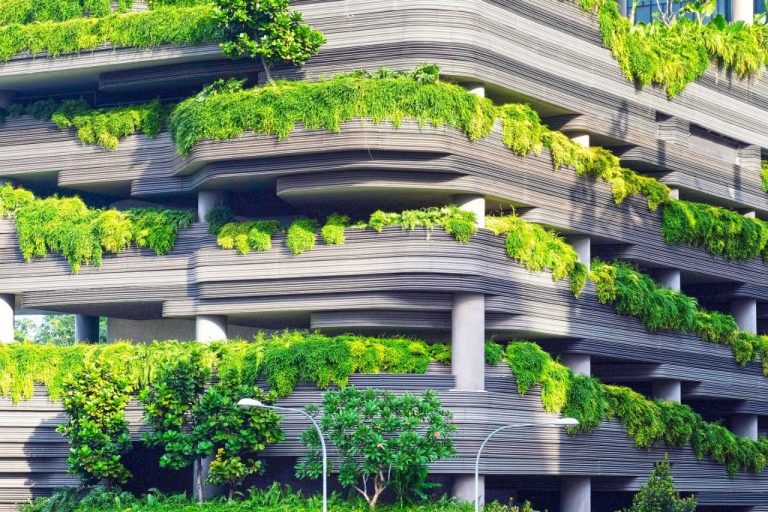 Nature Recognized as Urban Infrastructure